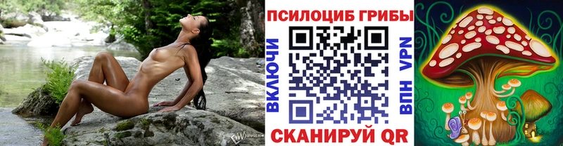 Псилоцибиновые грибы Psilocybe  hydra ссылка  Семёнов 