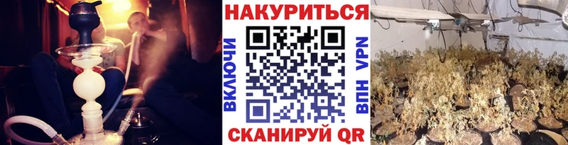 даркнет сайт  Семёнов  гидра ссылка  МАРИХУАНА OG Kush 